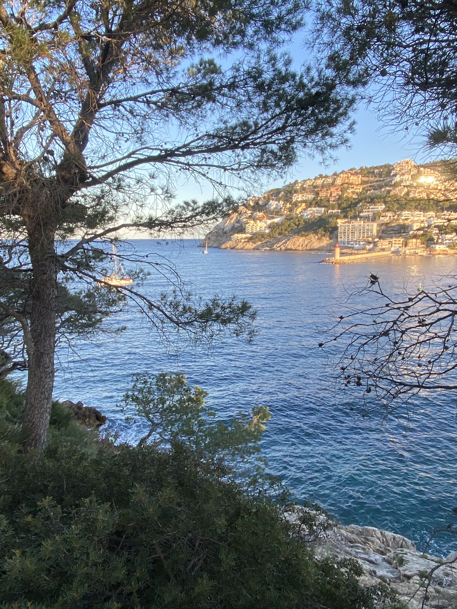 Warum sich ein Skipper lohnt